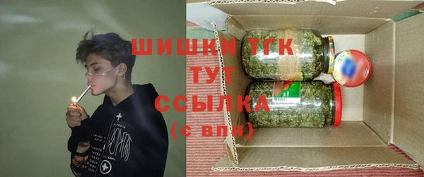 мдпв Богородицк