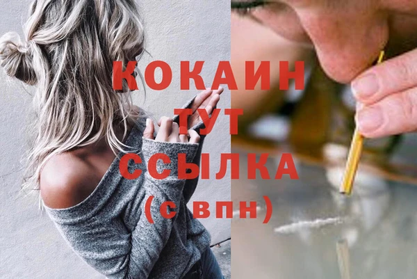 apvp Богданович