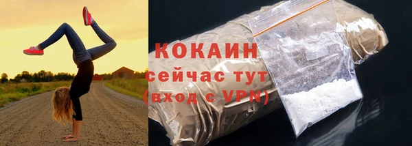 мдпв Богородицк