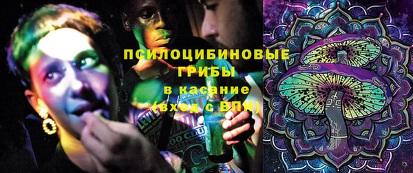 apvp Богданович