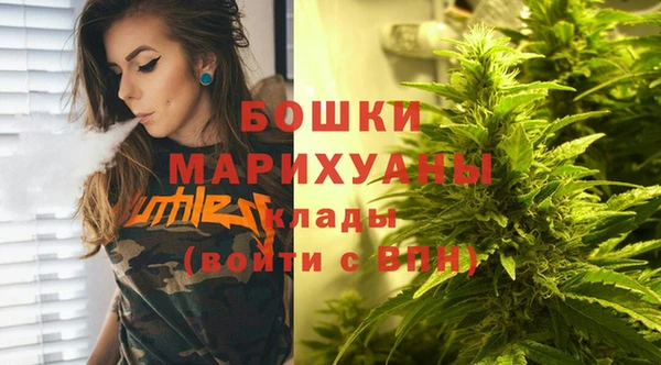 мдпв Богородицк