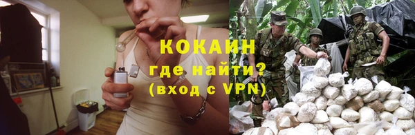 прущая мука Богородск