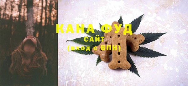мдпв Богородицк